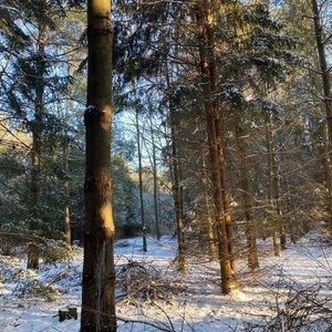 Meet your Posher, Jane